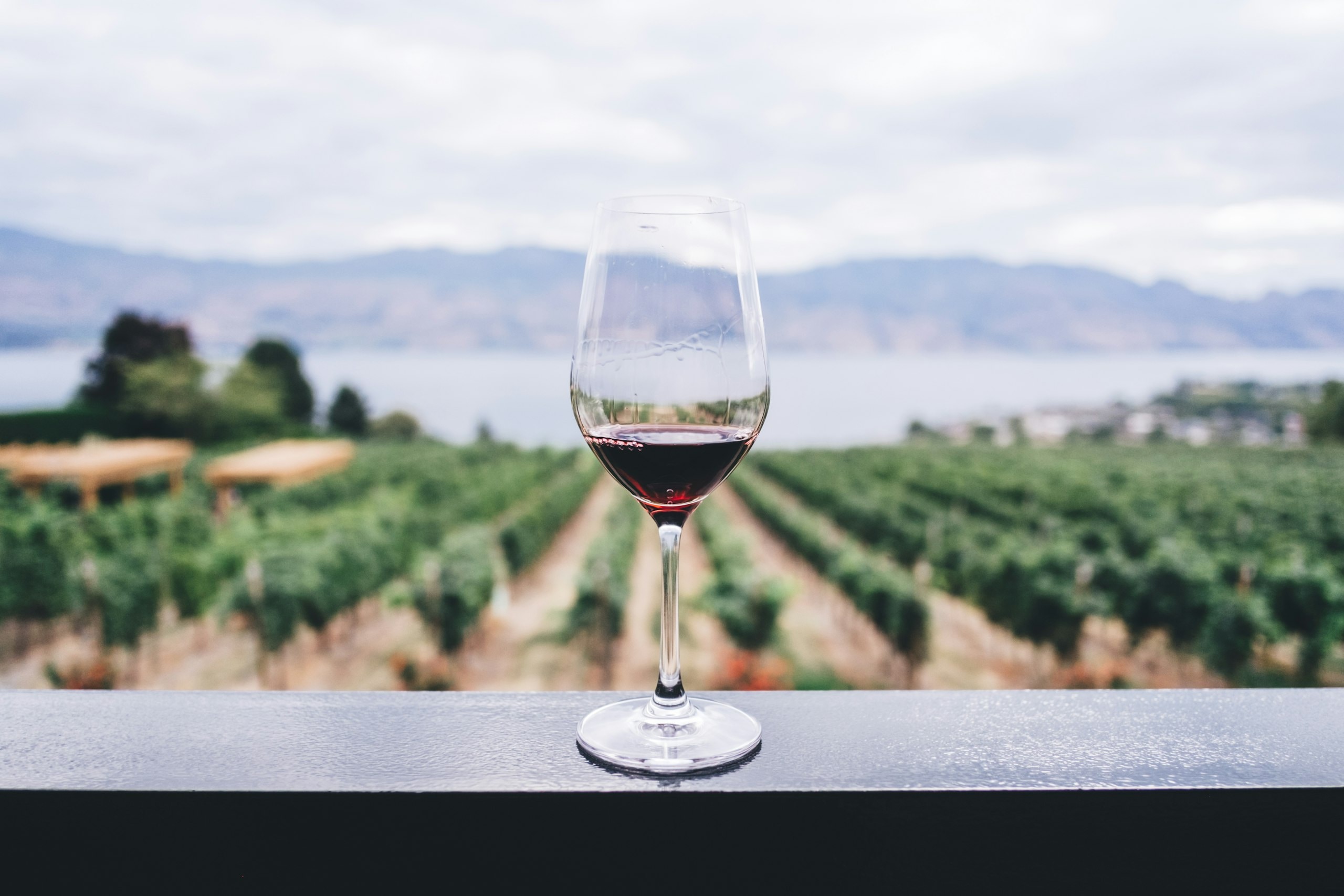 Les Sources de Caudalie Bordeaux: Grand Cru Vineyard Palace & Vinothérapie Spa Guide 2026